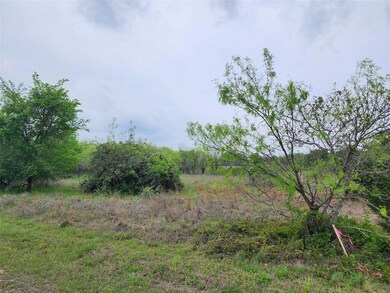 12084 Rolling Oaks Dr, Whitney, TX 76692 - photo 3