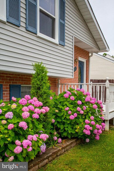 6709 University Dr, Middle River, MD 21220 - photo 4