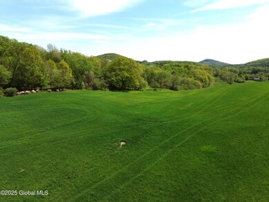DJI_0306