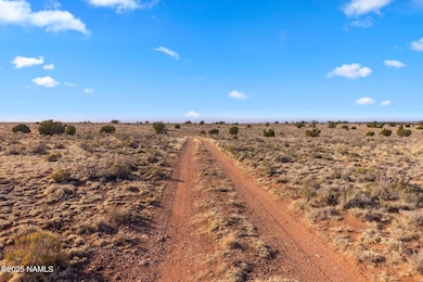 2549 E Valle Rd, Williams, AZ 86046 - photo 3