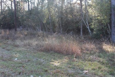 26527 Joseph Rd, Hockley, TX 77447 - photo 5