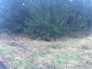 10208 269th St E, Graham, WA 98338 - photo 2