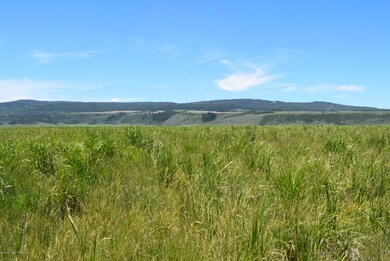 DSC_0074 (1)