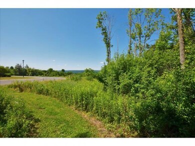 0 Rockcress Ln, Lansing, NY 14850 - photo 3