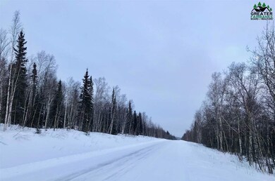 NHN Elliott Hwy, Livengood, AK 99790 - photo 3
