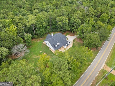 2943 Dabbs Bridge Rd, Dallas, GA 30132 - photo 5