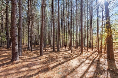 76 Paul Smith Rd, Covington, GA 30014 - photo 3