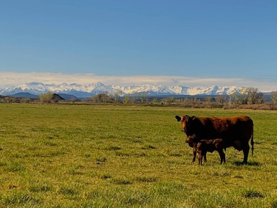 TBD 6725 Rd unit 1, Montrose, CO 81401 - photo 3