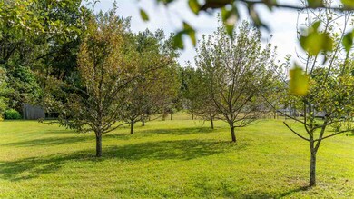 2034 Mt Torrey Rd, Lyndhurst, VA 22952 - photo 7