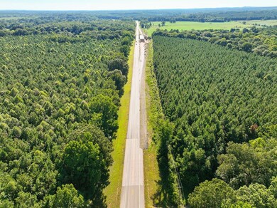 US 70 W, Dierks, AR 71846 - photo 3