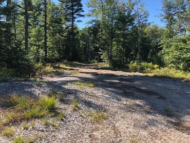 LAND PIC 1