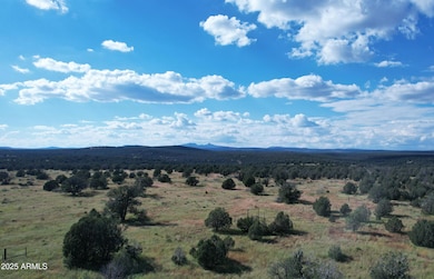 1887 Terry Ln, Kaibab Estates West, AZ 86320 - photo 7