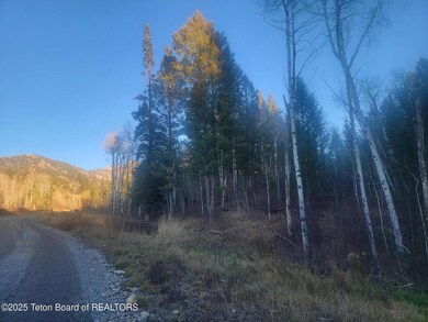 L13B2 Cutthroat Run, Irwin, ID 83428 - photo 5