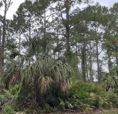 39 Whittington Dr, Palm Coast, FL 32164 - photo 3