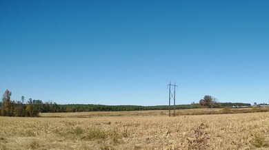 Tbd Concord Church Rd, Ellerbe, NC 28338 - photo 7