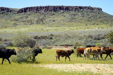 Rigden Ranch, Kirkland, AZ 86332 - photo 4