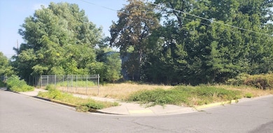 207 SW Oak St, Grants Pass, OR 97526 - photo 2