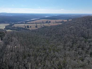 000 Hwy 160, Gainesville, MO 65655 - photo 5