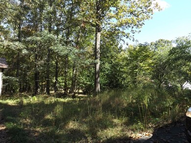 This tract has mature trees, paved drive, city water, cable & septic.