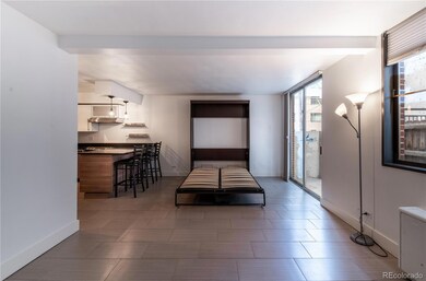 830 N Sherman St unit 105, Denver, CO 80203 - photo 7