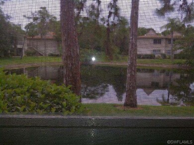Lake View from Bedroom Window