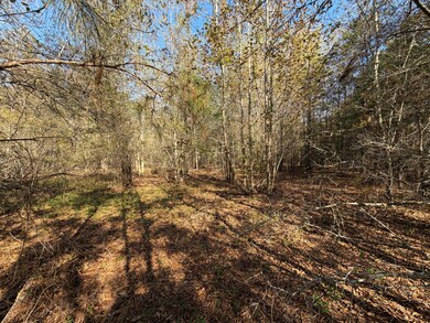 0 24 S unit 549085, Waynesboro, GA 30830 - photo 7