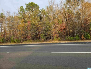 0 U S Highway 280, Childersburg, AL 35044 - photo 2