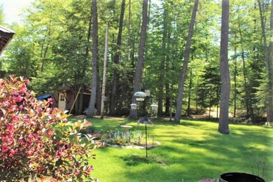 lawn