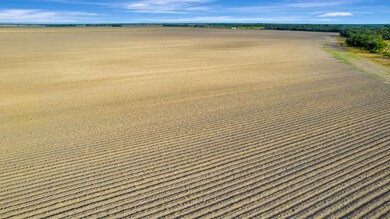 10647 Farm To Market Road 530, Edna, TX 77957 - photo 5