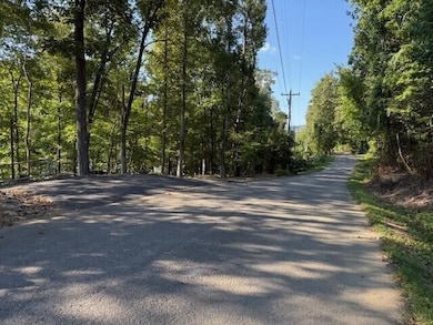 13 Mullins Cove Rd, Powells Crsrd, TN 37397 - photo 6