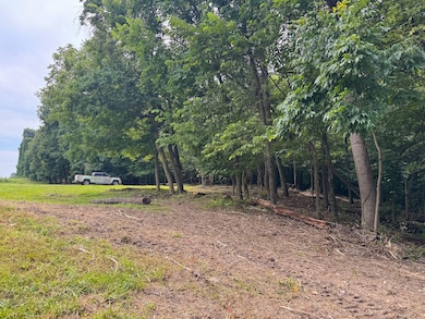 16487 Flint Ridge Rd SE, Hopewell Township, OH 43056 - photo 3