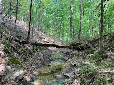 1 Montgomery Ln, Savannah, TN 38372 - photo 7