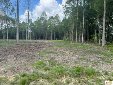 0 Gaskin Ln, Jamestown, KY 42629 - photo 5