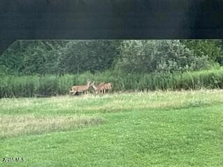 Lot 11 Dry Hollow Rd, Warriors Mark, PA - photo 3