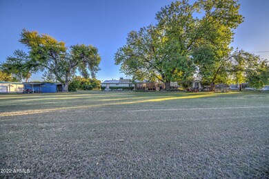 All this backyard space