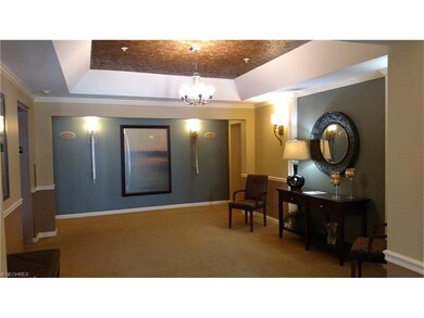 1003 Aqua Marine Blvd unit 41, Avon Lake, OH 44012 - photo 2