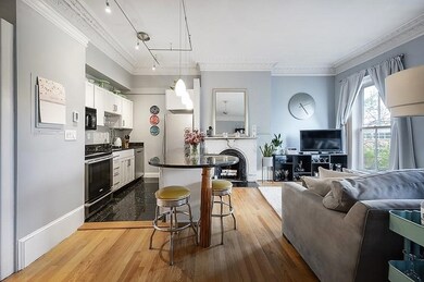 67 Worcester St unit 3, Boston, MA 02118 - photo 4