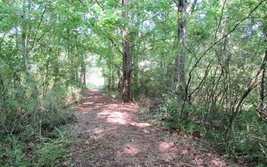 Additional View