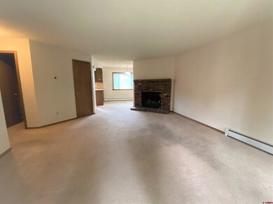 161 E 33rd St unit 16, Durango, CO 81301 - photo 5