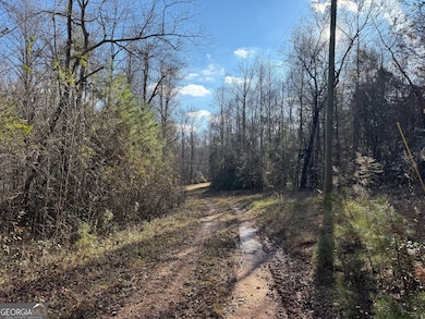 1190 James Adams Rd, Danielsville, GA 30633 - photo 5