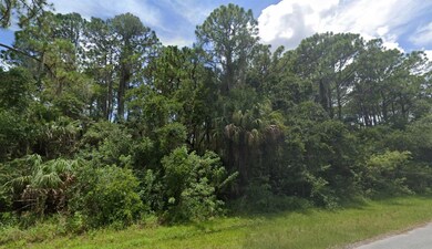 13986 Dunlap Ave, Port Charlotte, FL 33953 - photo 3