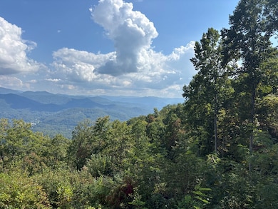 1887 Monteith Branch Rd, Sylva, NC 28779 - photo 2