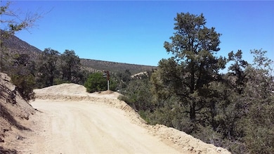 0 Desert Front Rd unit SR25109851, Pinon Hills, CA 92372 - photo 2