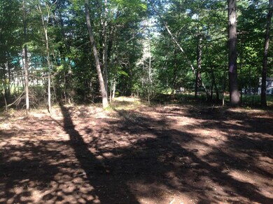 0 Birchwood Farm Rd, Freedom, NH 03836 - photo 5