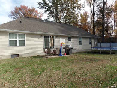 235 Pin Oak Ln, Harrisburg, IL 62946 - photo 4