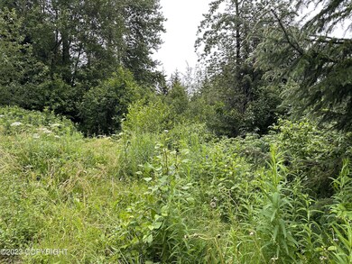 undeveloped Access