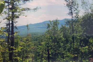 0 Hammond Hill Rd, Bridgewater, NH 03222 - photo 4