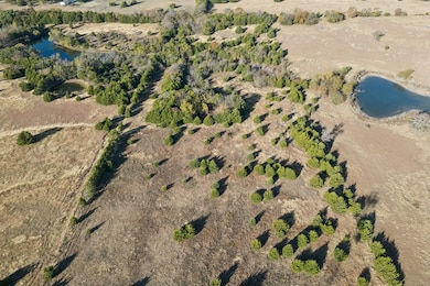 TBD Bus 78s, Blue Ridge, TX 75424 - photo 3