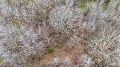 705 Post Office Rd, Michie, TN 38357 - photo 7