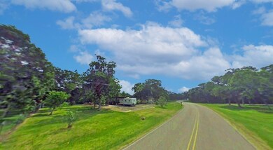 Lot 8 County Road 659, Brazoria, TX 77422 - photo 5